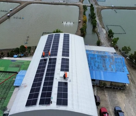 Solar Choo Tubtim Farm Project